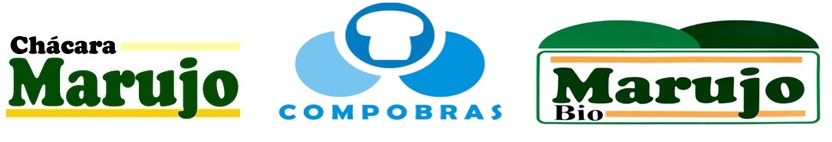 Logo da empresa